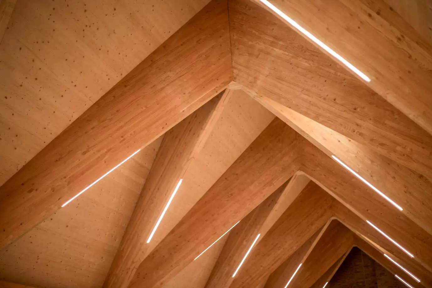 halle_Marie_de_lorraine_Guise_charpente